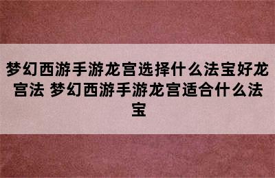 梦幻西游手游龙宫选择什么法宝好龙宫法 梦幻西游手游龙宫适合什么法宝